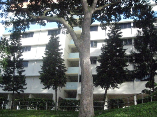 Blk 106 Spottiswoode Park Road (Bukit Merah), HDB 5 Rooms #149542